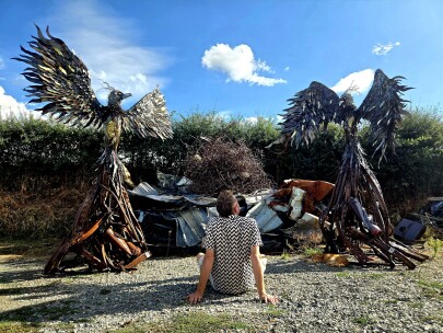 Phénix avant/apres